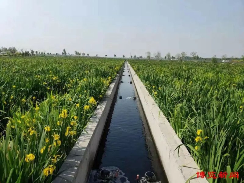 人工湿地污水处理